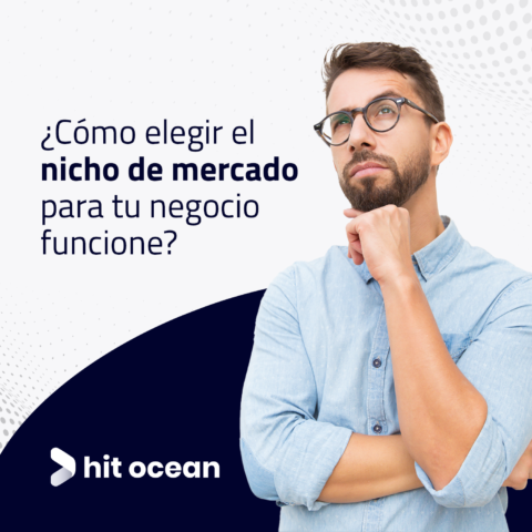 Cómo elegir el nicho de mercado para que tu negocio funcione Hit Ocean